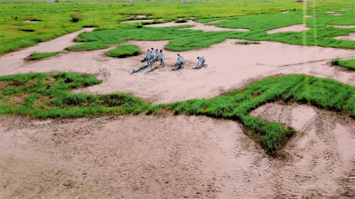 뮤플리 아이홉 05