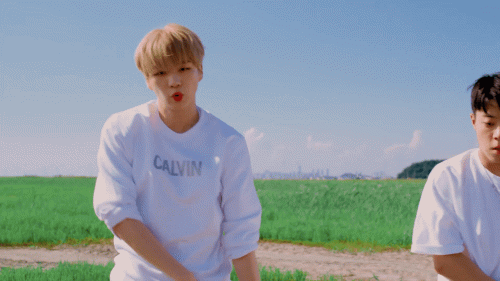 뮤플리 아이홉 15