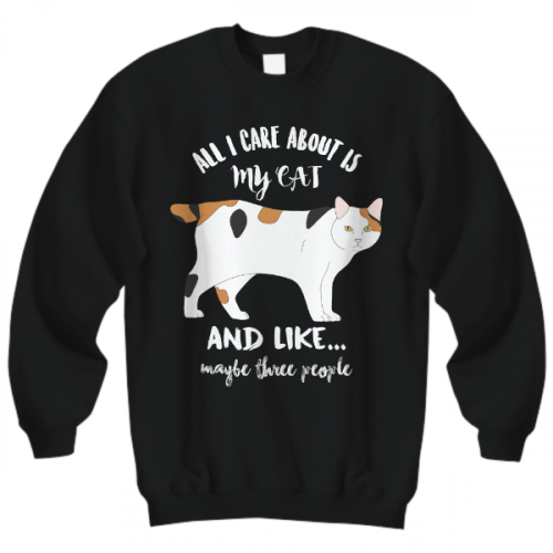04---all-i-care-about-is-my-cat-sweater.png