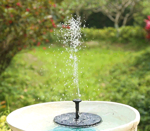 1-new72fd97335afddc8f.gif