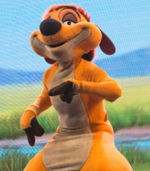 16---Timon.jpg