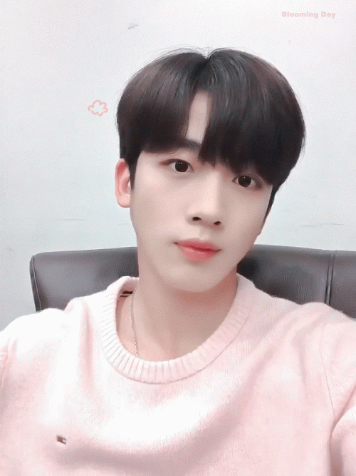 190907.gif