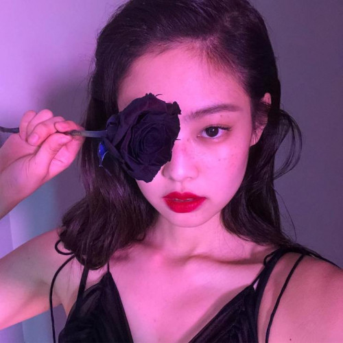 2 BLACKPINK Jennie Instagram Update 21 Feb 2019 Black Rose Flower