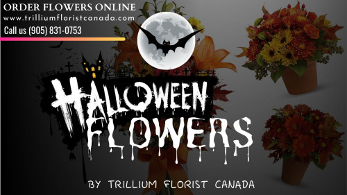 October is the spookiest month of the year! And This Halloween is just around the corner. When all of us start to decorate our homes for the holiday. With all kinds of mysterious decorations with pumpkin and flowers. Get the specially designed to capture the color and spookiness of the occasion by the Best Flower Shops Toronto with there Fast Flowers Delivery Toronto on https://www.trilliumfloristcanada.com/halloween/cat1080007