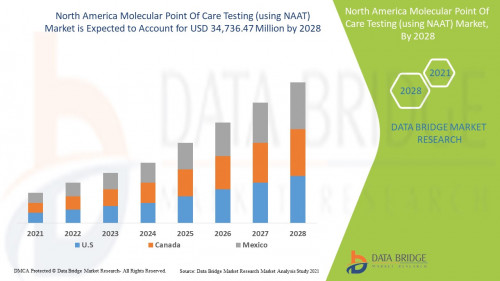 2.NorthAmericaMolecularPointOfCareTestingusingNAATMarket.jpg