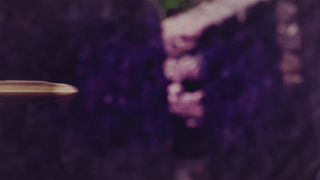 20210504_074356.gif
