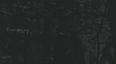 20230114_004621.gif