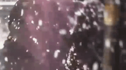 20230115_003315.gif