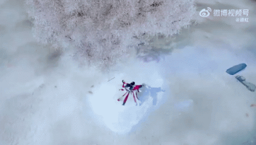 20230206_052426.gif