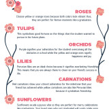 3---6-Types-of-Flowers-for-Graduation