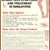3.-Spider-Vein-Symptoms-And-Treatment-In-Singapore-Cheng-SC-veins-september