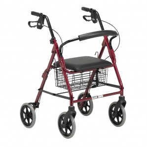 4wheelrollator_large.jpg