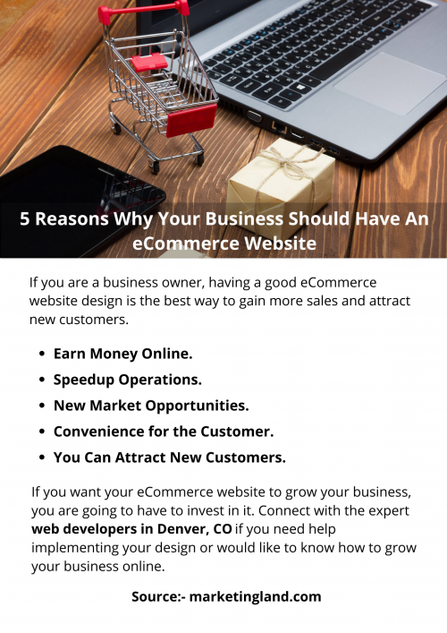 5-Reasons-Why-Your-Business-Should-Have-An-Ecommerce-Website.png