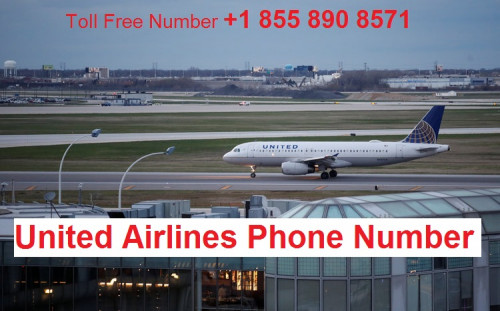 Hi, I’m John Connect me on United Airlines Phone Number +1 (855) 890 8571 and book your flight ticket online at affordable price. Our United Airlines customer service team is online 24/7. Visit Site: https://www.united-airlines-phonenumber.com/