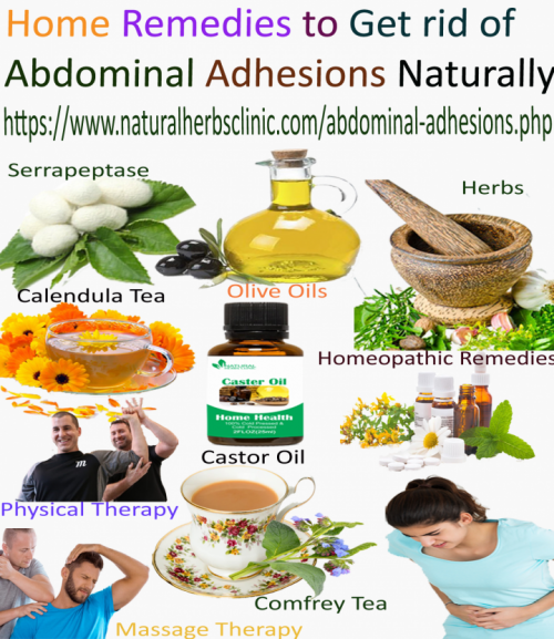 Calendula and comfrey are the best Natural Remedies for Abdominal Adhesions. Both herbs are known to heal scars and dissolve fibrous, non-living tissues... http://naturalherbsclinic.altervista.org/natural-remedies-for-abdominal-adhesions/