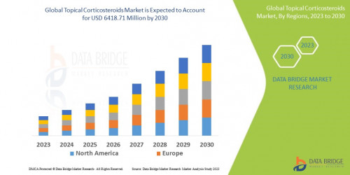 6.TopicalCorticosteroidsMarket.jpg