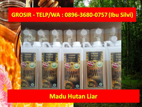 Supplier Madu Al Qubro Premium Surabaya, Supplier Madu Asli Al Qubro Premium, Supplier Madu Al Qubro Premium Pusat , Supplier Madu Al Qubro Premium Murni, Supplier Madu Murni Al Qubro Premium, Supplier Madu Hutan Al Qubro Premium, Supplier Madu Ternak Al Qubro Premium, Supplier Madu Herbal Al Qubro Premium, Pusat Madu Al Qubro Premium, Pusat Madu Al Qubro Premium Surabaya,
"""PUSATNYA - WA : 0813-5958-5256 (Ibu Silvi) - Kami menjual Madu Asli dari Al Qubro Premium dengan harga Grosir, Grosir Madu Al-Qubro Premium adalah solusinya, Madu Al qubro Premium adalah madu unggulan yang ada di Indonesia yang dihasilkan oleh nektar tumbuh tumbuhan secara alami, sehingga terjaga rasa, aroma, dan khasiatnya.

Ada sedikitnya 7 alasan mengapa anda perlu memilih Madu Asli dari Al Qubro Premium :
1. Madu Al-Qubro Premium : Madu 100% Alami asli dari Indonesia 
2. Tanpa bahan pengawet maupun bahan kimia.
3. Mempunyai 4 macam varian & ada sekitar 50 lebih madu pilihan, sehingga bisa di pilih sesuai dengan kebutuhan dan kesukaan.
4. Dapat menyembuhkan berbagai penyakit
5. Mempunyai izin Dinas Kesehatan RI & MUI
6. Harga terjangkau Eceran & Grosiran
7. Sistem keAgenan yang terjaga (Tanpa Perang Harga)

SEGERA KONTAK KAMI untuk Info AGEN dan DISTRIBUTOR: 
TELP : 0813-5958-5256 (Ibu Silvi)
WA : 0813-5958-5256 (Ibu Silvi)

Website Pusat : http://www.grosirmadualqubro.com
"""