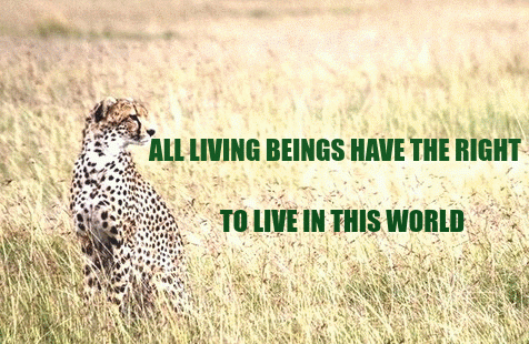 ALL-LIVING-BEINGS-RIGHT-TO-LIVE-IN-THIS-WORLD.gif