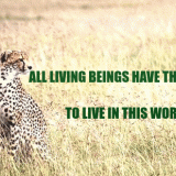 ALL-LIVING-BEINGS-RIGHT-TO-LIVE-IN-THIS-WORLD