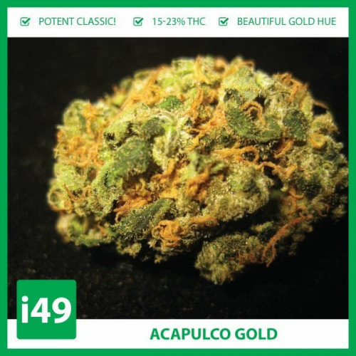 https://weed-seeds.ca/product/barneys-acapulco-gold-fem/	

Will you buy our Acapulco Gold Strain? Weed Seed Bank stocks Acapulco-Gold Feminised seeds for sale online. Get this nostalgic cannabis strain for sale online!