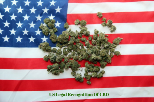 Do you know where marijuana and CBD are legal? Many countries in the world have different laws and regulations regarding the use of CBD. Read more to know the legality status of CBD & Marijuana across the countries.