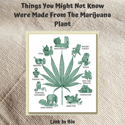 We all know marijuana can be smoked and also is used as a medicine, but let's find out 10 other things that can be made from Marijuana Plant.
#marijuanaproducts #usesofmarijuana #benefitsofmarijuana #hempclothing