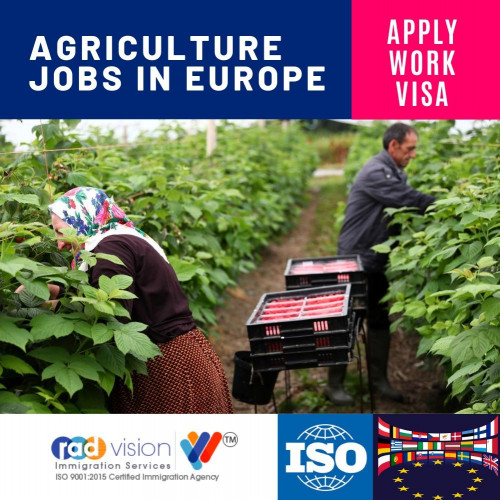 Golden opportunities to settle down in Europe country under Agriculture Profile work visa then after 3 years get citizenship in Portugal. Pay fee after visa. Only limited seats available, call for more details +91-93195 88469, +91-7065027959.

Requirements:

1-Minimum 18 year age
2-No old funds required
3-No interview
4-ECA passport also accept
5-Accommodation and Food facilities

Get the guaranteed job with 100 % visa success rate!

#WorkingInEurope #EuropeWorkvisa #EuropeVisaConsultant #AgricultureJobs #EuropeJob