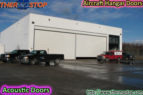 Aircraft Hangar Doors