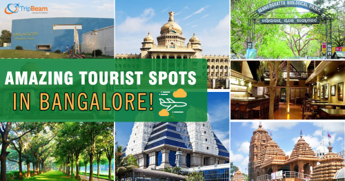 Take a look at many of the Bangalore& attractions of India with Tripbeam.ca. Surf down the website and book cheap Flights from Toronto to Bangalore now!