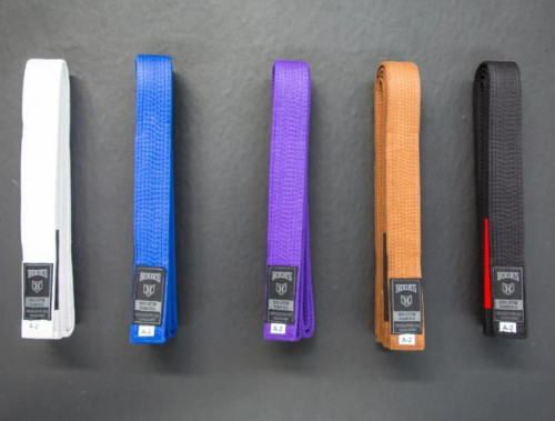 Nowadays the BJJ belt ranking system is white, blue, purple, brown & black. BJJ belts are made from the finest materials, with a finish of the highest standard. Hooks Jiujitsu BJJ belts are finally here. These high-quality belts will definitely make a statement on the mats. In this particular collection, you will find BJJ belts through the best brands of Brazilian Jiu-Jitsu. You can buy your lightweight Jiu-Jitsu belt for competition, high-quality Jiu-Jitsu belts for special occasions, and quality belts for daily use. A BJJ belt is a valuable part of a martial artist's wardrobe. Check out our selection of BJJ belts. Our BJJ pro belt is designed for men, women, and youths of all ranks. The Brazilian Jiu-Jitsu belt system is far stricter than in most other martial arts. Enjoy quality and reliability with these sturdy, ultimate selection of belts. For more info, kindly visit https://hooksbrand.com/collections/belts