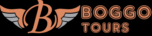 BOGGO-LOGO.png