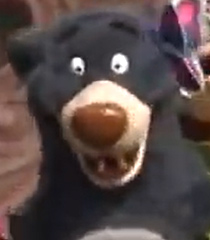 Baloo.jpg