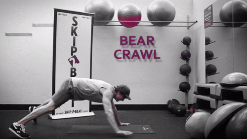 BearCrawl