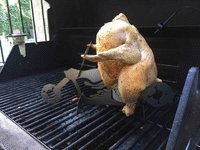 Best-Chicken-Stand.gif
