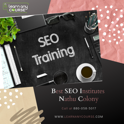 Best-SEO-Institutes-Nathu-Colony.png
