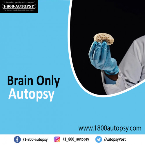 Brain-Only-Autopsy-2-1.jpg