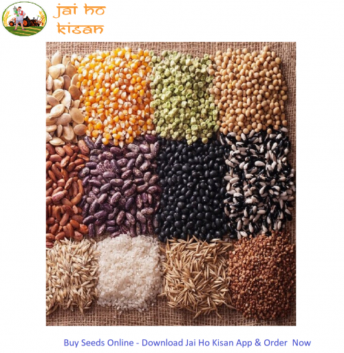 Buy-Seeds-Online---Jai-Ho-Kisan.png