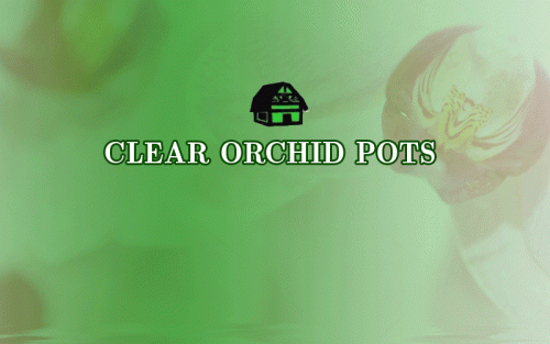 CLEAR-ORCHID-POTS.gif