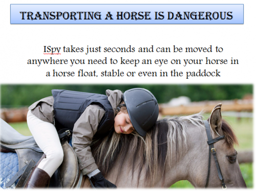 Now Due to the ISPY’s Horse transport camera systems can assist you to be careful about the naughty horse foal in the cart with a dashboard monitor for you. https://www.ispyhorsecam.com.au/