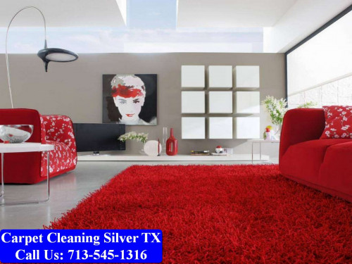 Carpet-Cleaning-Silver-tx-001.jpg