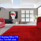 Carpet-Cleaning-Silver-tx-001