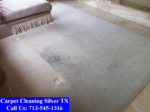 Carpet-Cleaning-Silver-tx-002.jpg