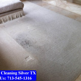 Carpet-Cleaning-Silver-tx-002