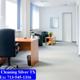 Carpet-Cleaning-Silver-tx-004