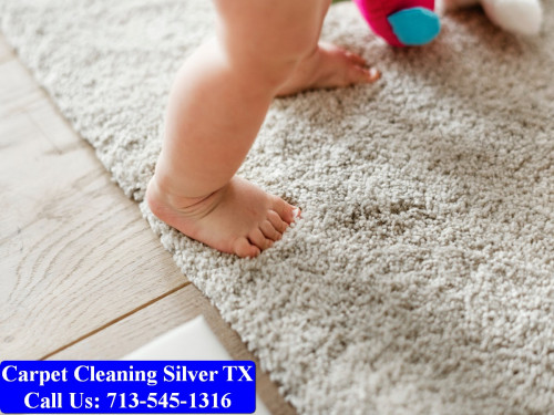 Carpet-Cleaning-Silver-tx-005.jpg