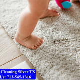 Carpet-Cleaning-Silver-tx-005