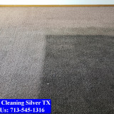 Carpet-Cleaning-Silver-tx-007