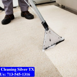 Carpet-Cleaning-Silver-tx-011