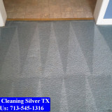 Carpet-Cleaning-Silver-tx-016