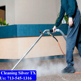 Carpet-Cleaning-Silver-tx-018